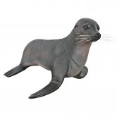 Baby Fur Seal / Fiberglass