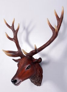 Red Deer Stag Head Trophy