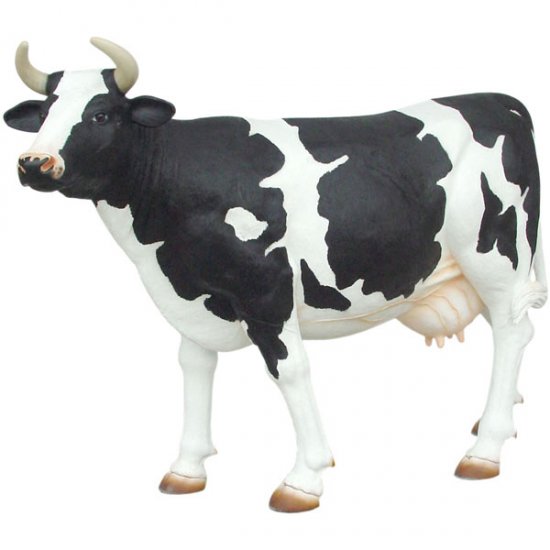 Cow with black spots - Head-Up (lookin' for the right guy) - Click Image to Close