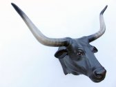 Bull Head with Long Horns (Black) / Fiberglass