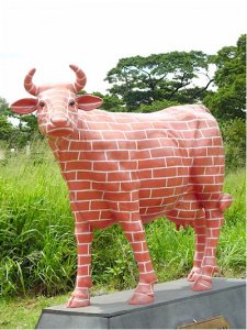 " The Brick Wall " Cow (with or without Horns)