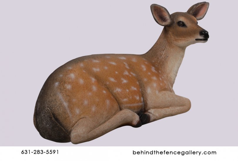 Fallow Deer Fawn Resting Statue - Click Image to Close
