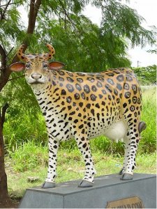 Cheetah Cow (with or without Horns)