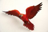 Parrot Flying (Red)