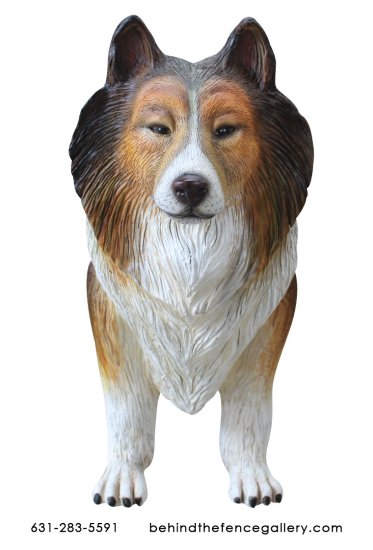 Life Size Rough Collie Dog Statue - Click Image to Close