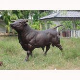 Bronze Giant Bull