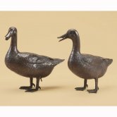 Bronze Duck Pair