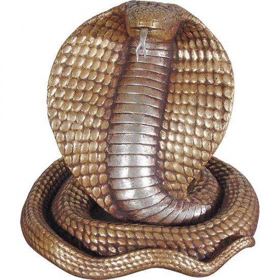 King Cobra - Click Image to Close