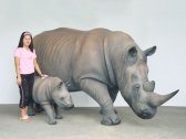 Rhinoceros 30"