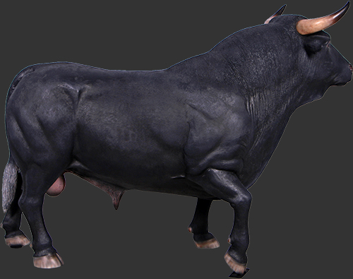 Spanish Fighting Bull - Click Image to Close