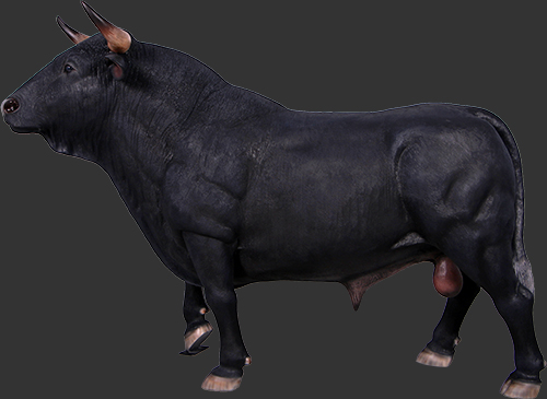 Spanish Fighting Bull - Click Image to Close
