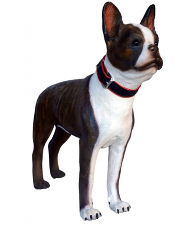 Life Size Boston Terrier Dog Statue - Click Image to Close
