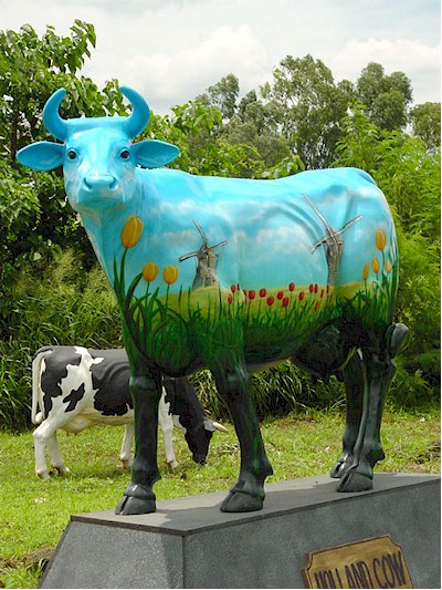 " Holland " Cow (with or without Horns) - Click Image to Close