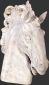 Horse Head