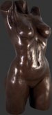 Female Torso Bronze Finish / Fiberglass