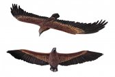 Wedge-Tailed Eagle Flying / Fiberglass