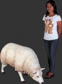 Texelaar Ewe Sheep - Head Down / Fiberglass