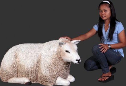 Texelaar Ewe Sheep - Lying Down / Fiberglass