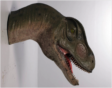 Allosaurus Head - Mouth Open / Fiberglass