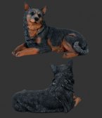 Blue Heeler - Lying Down / Fiberglass
