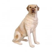 Sitting Labrador Sitting Labrador