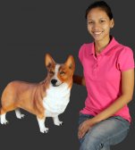 Corgi Dog - Standing