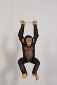 Hanging Chimpanzee
