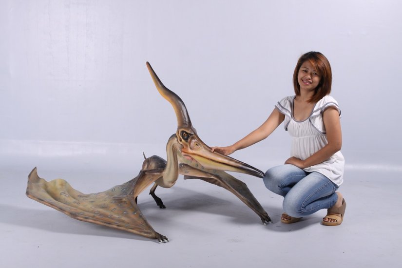 Pteranodon Ingens - Click Image to Close