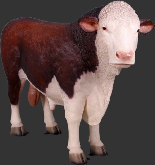 Hereford Bull Brown/White Statue - Click Image to Close