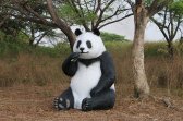 Giant Sitting Panda Bear Eating Fiberglass Statue