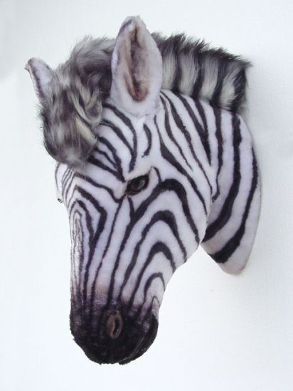 Zebra Head - Click Image to Close