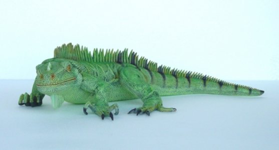Iguana 3 Ft Long