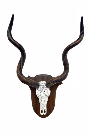 Designed Bull Skull - Click Image to Close