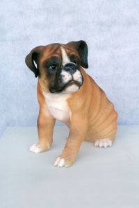 Boxer Puppy 1ft.