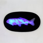 Wall Decor Koi with LED