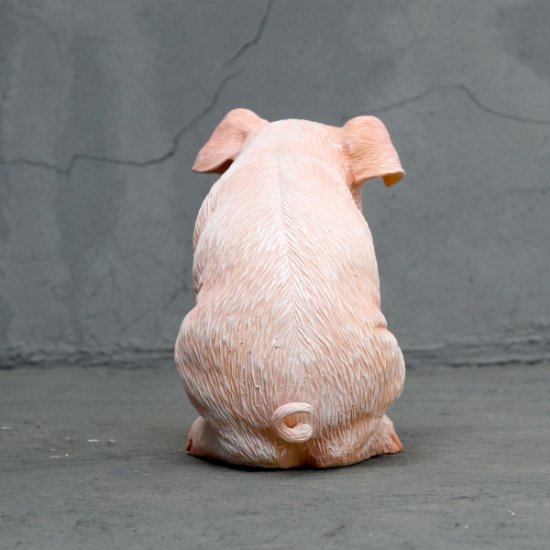 Little sitting piglet - Click Image to Close
