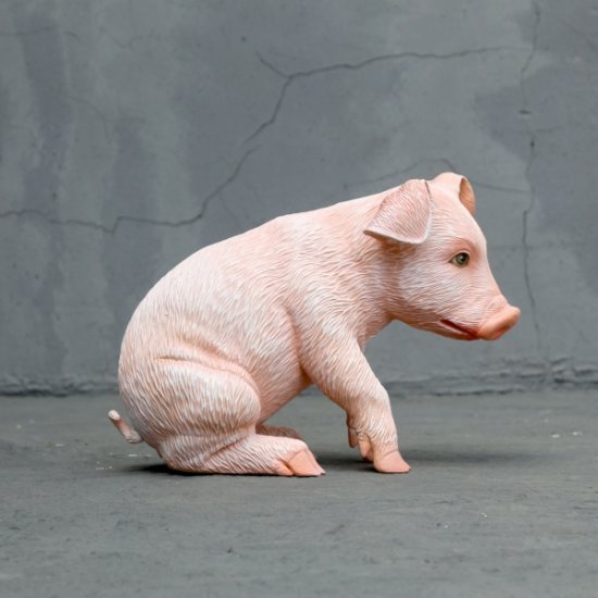 Little sitting piglet - Click Image to Close