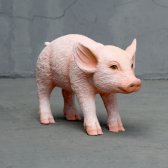 Standing pink piglet Standing pink piglet
