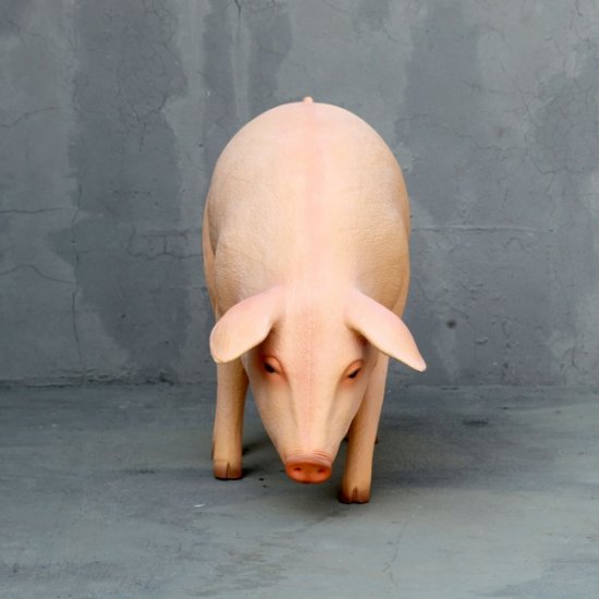 Pink Pig - Head Down - Click Image to Close