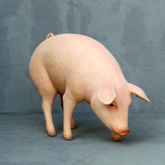 Pink Pig - Head Down - Click Image to Close
