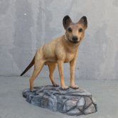 Tasmanian Dog Statue made up of Resin