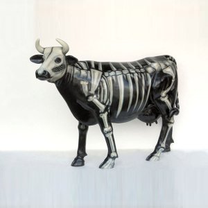 Skeleton Cow (with or without Horns)