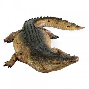 Crocodile 12ft. / Fiberglass