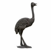 Bronze Ostrich