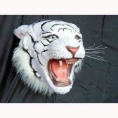 White Tiger Head
