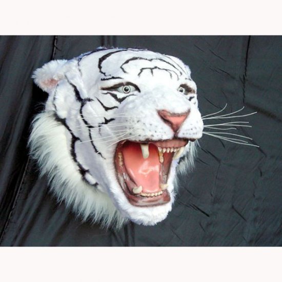 White Tiger Head - Click Image to Close