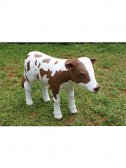Brown and White Baby Cow Statue Brown and White Baby Cow Statue