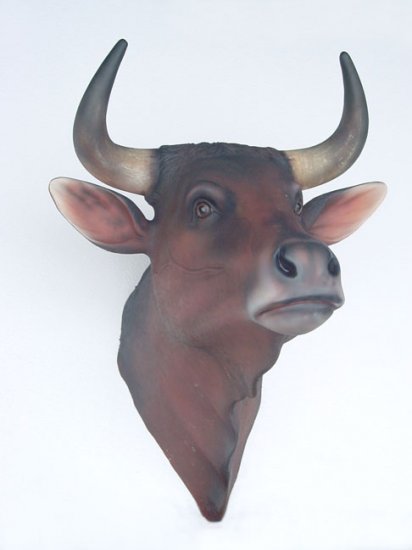 Bull 25" - Click Image to Close