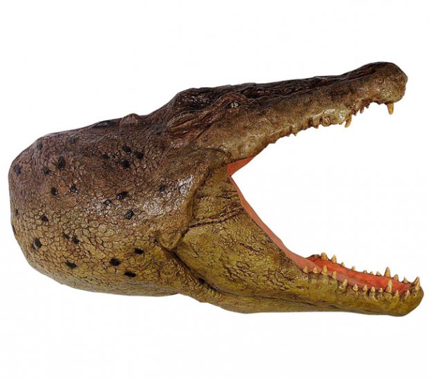 Crocodile Head Wall Plaque - Click Image to Close