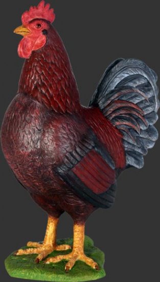 Rooster - Click Image to Close